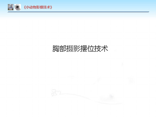 【小动物影像技术课件】胸部摄影摆位技术