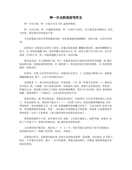 种一片太阳花仿写作文