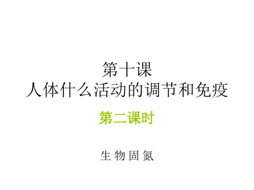 高二生物生物固氮(中学课件201909)