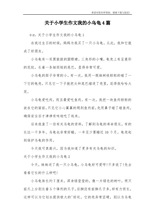 关于小学生作文我的小乌龟4篇