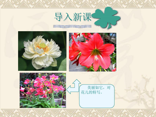 人教版高中语文选修《特写：镜头式的新闻片段》课件