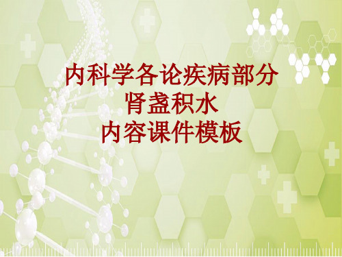 内科学_各论_疾病：肾盏积水_课件模板