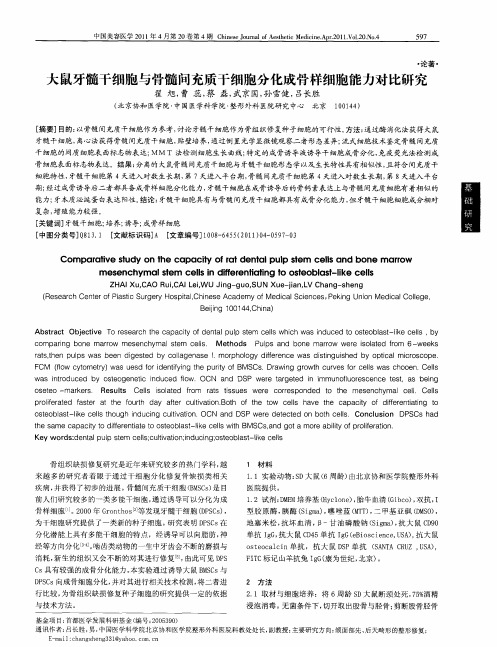大鼠牙髓干细胞与骨髓间充质干细胞分化成骨样细胞能力对比研究