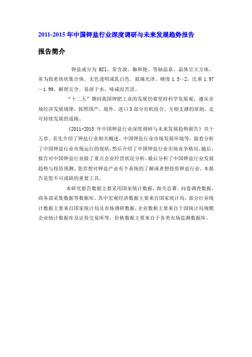 中国钾盐行业深度调研报告