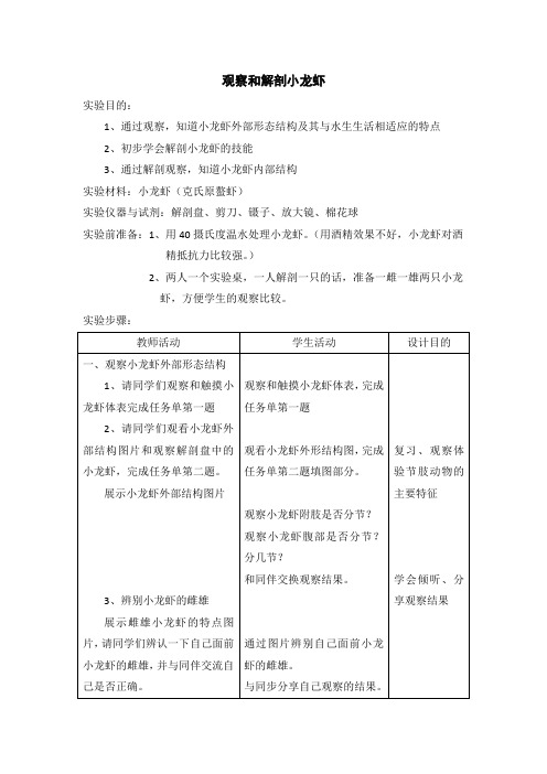 观察和解剖小龙虾