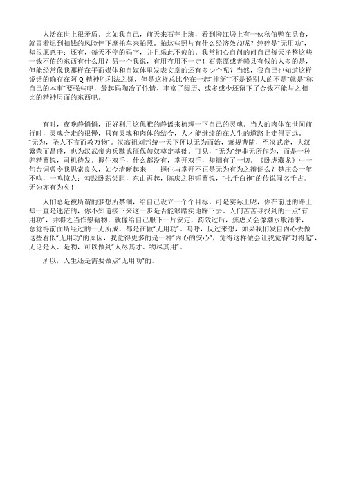 人生需要做点“无用功议论文