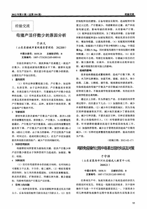鸡群免疫操作过程中容易出现的失误及对策