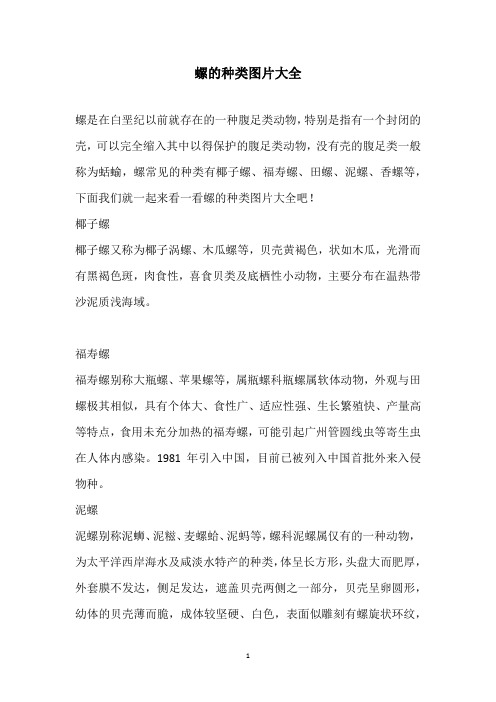 螺的种类图片大全