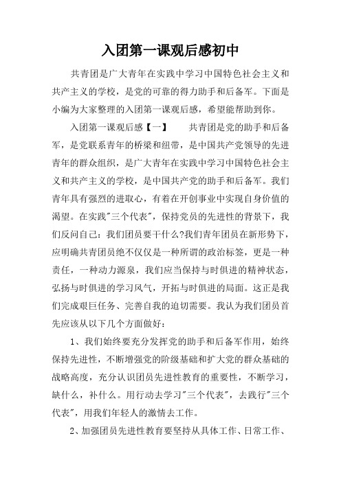 入团第一课观后感初中