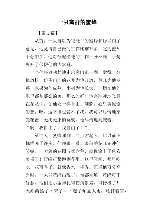 一只离群的蜜蜂