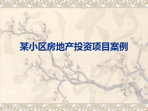 案例：某小区房地产项目投资
