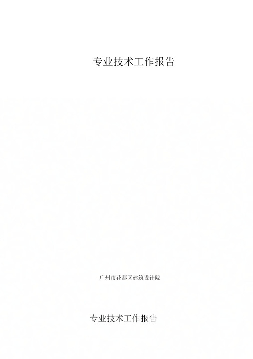 专业技术及业绩成果报告