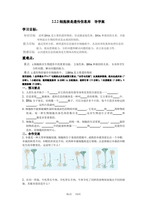 初中生物2.2.2细胞核是遗传信息库 导学案
