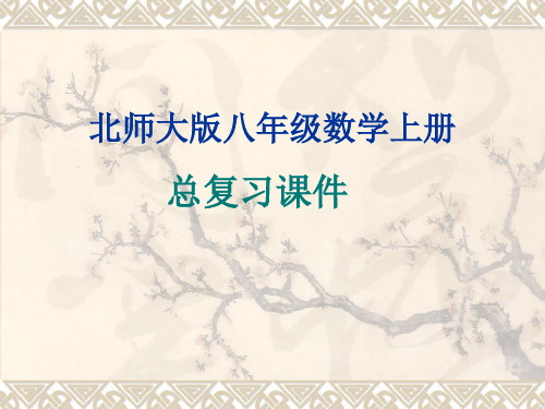 北师大版八年级数学上册总复习课件