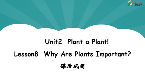 八年级英语冀教版下册Unit2-Lesson8-Why-Are-Plants-Importa课后巩固