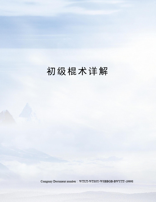 初级棍术详解