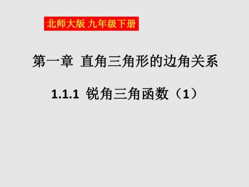 北师大版九年级数学下册《锐角三角函数  梯子的倾斜程度与正切》公开课课件_1
