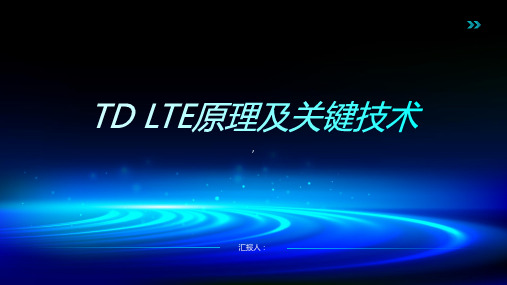 TD LTE原理及关键技术