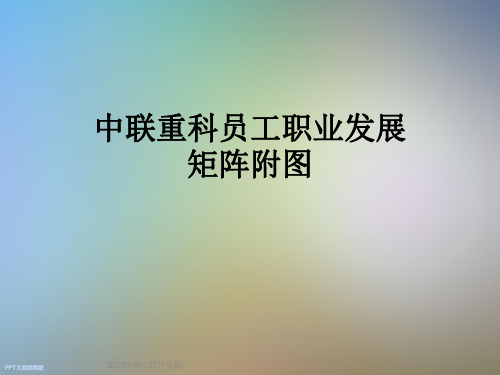 中联重科员工职业发展矩阵附图