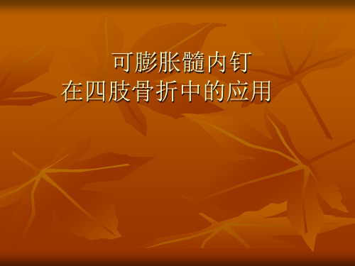 可膨胀髓内钉在四肢骨折中的应用(修改)