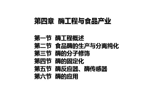 食品生物技术基础-酶工程