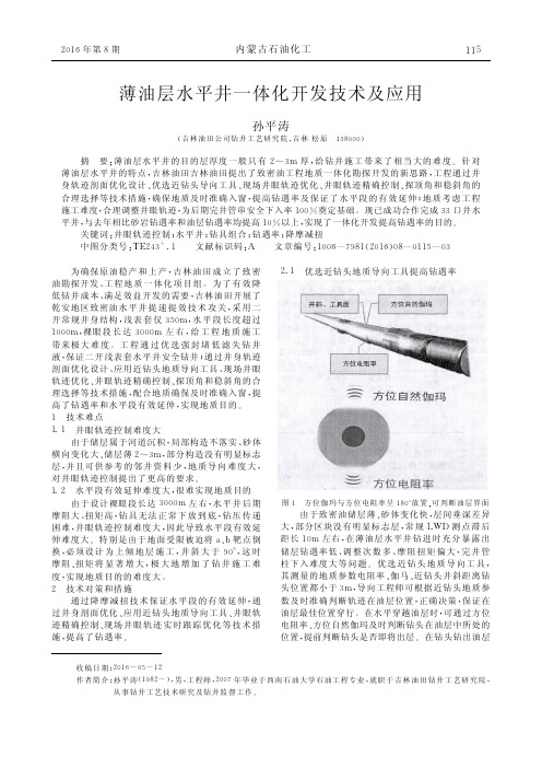 薄油层水平井一体化开发技术及应用