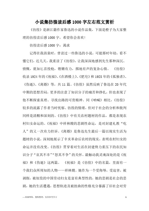 小说集彷徨读后感1000字左右范文赏析