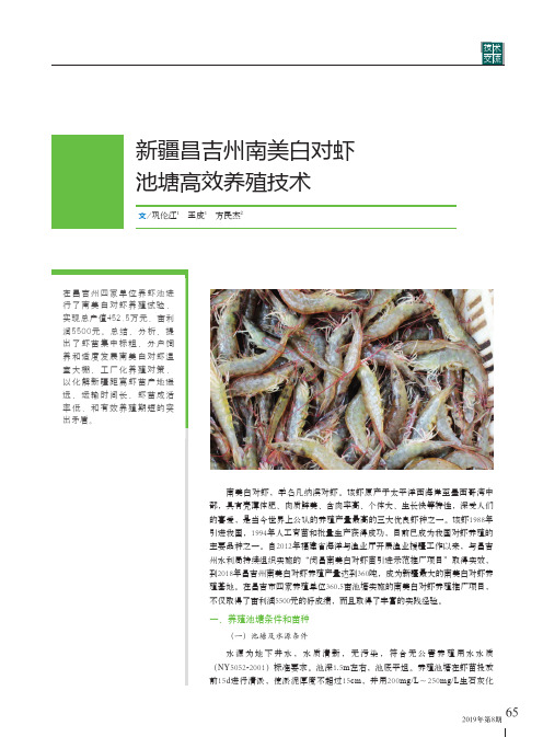 新疆昌吉州南美白对虾池塘高效养殖技术
