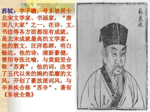 苏东坡PPT课件
