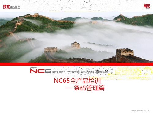 用友NC条码管理解决方案(NC6.5)