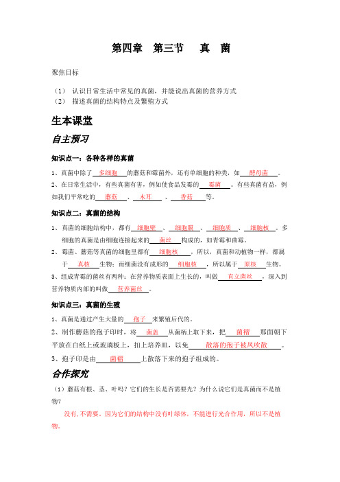 人教版生物八年级上册第四章第三节真菌