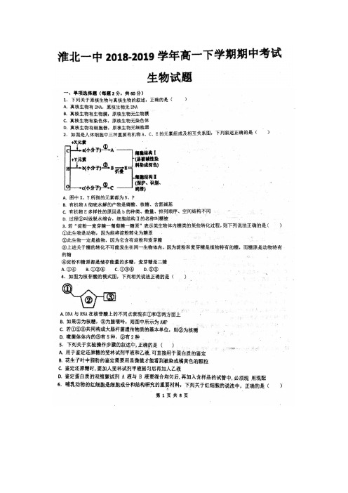 2017-2018学年安徽省淮北市第一中学高一下学期期中考试生物试题  扫描版