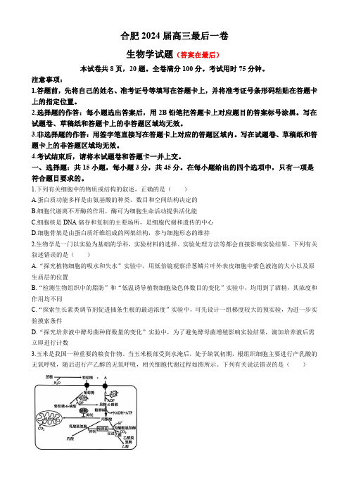 安徽省合肥2024届高三下学期最后一卷(三模)生物试题含答案