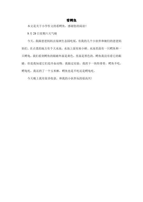 看鳄鱼_小学作文