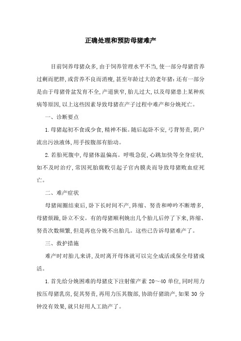 正确处理和预防母猪难产
