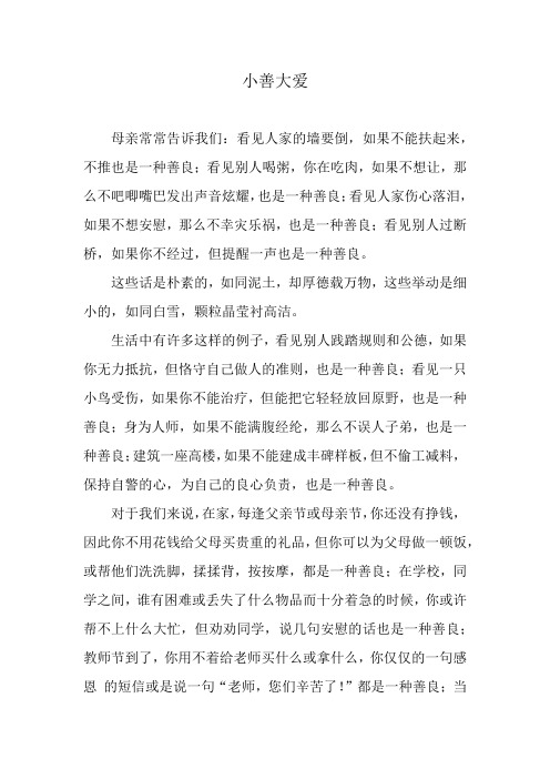 小善大爱
