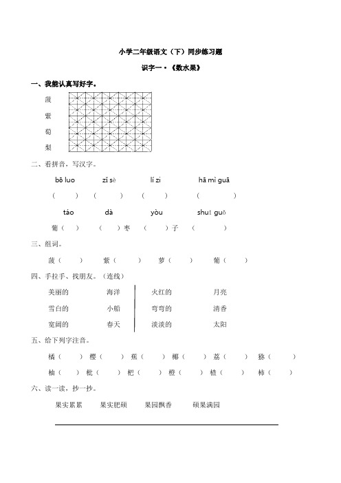 西师大版小学二年级语文(下)同步练习·《数水果》