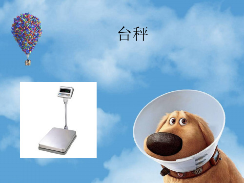 七岁乐高机械台秤