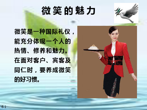 微笑的魅力APPT课件