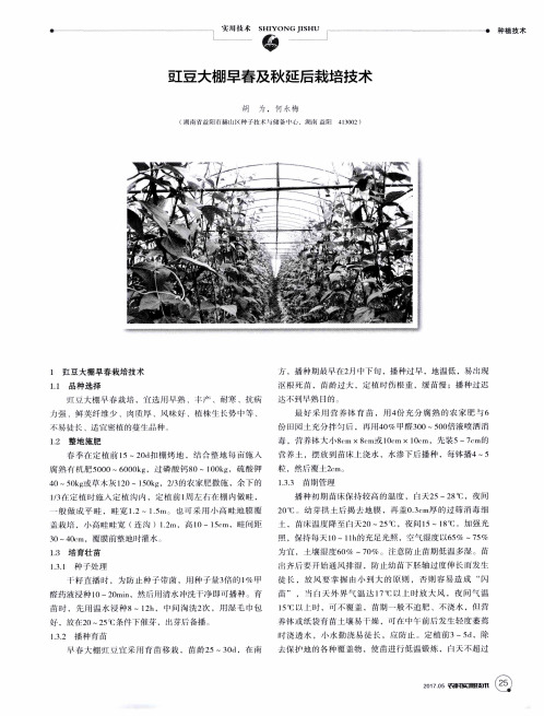 豇豆大棚早春及秋延后栽培技术