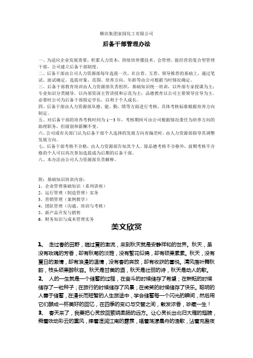后备干部管理办法.doc