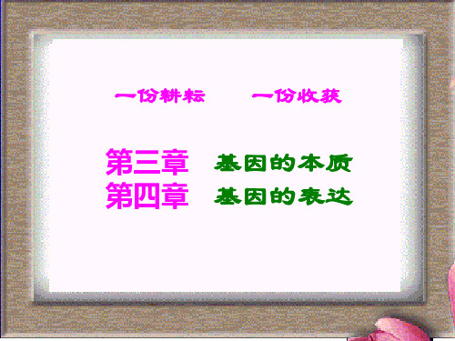 高中生物必修二第三四章复习课件