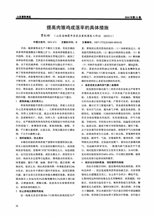 提高肉雏鸡成活率的具体措施