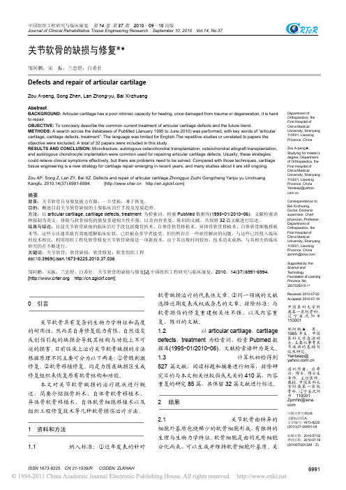 关节软骨的缺损与修复
