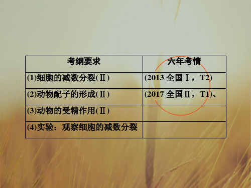 最新-2021版一轮生物课件：第一部分 第四单元 第12讲 减数分裂与受精作用 精品