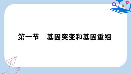 【精选】_高中生物第五章基因突变及其他变异5.1基因突变和基因重组课件新人教版必修2