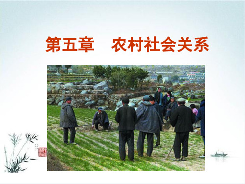 农村社会学课件第五章农村社会关系选读