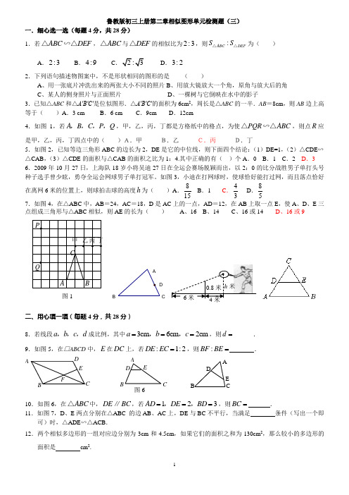 鲁教版初三上册第二章相似图形单元检测题(三)