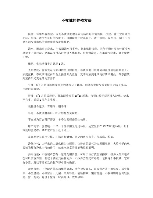 不夜城的养殖方法