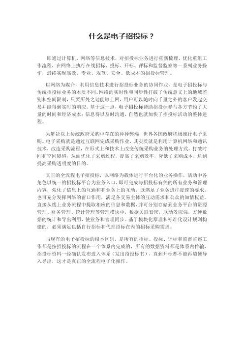什么是电子招投标？